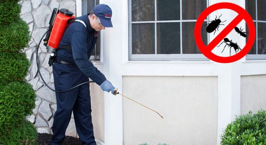 Kocaeli Kene İlaçlama böcek ilaçlama ve haşere kontrolü — ilaclama-tr.com
